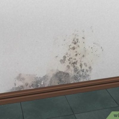 شركة علاج الرطوبه في الدمام